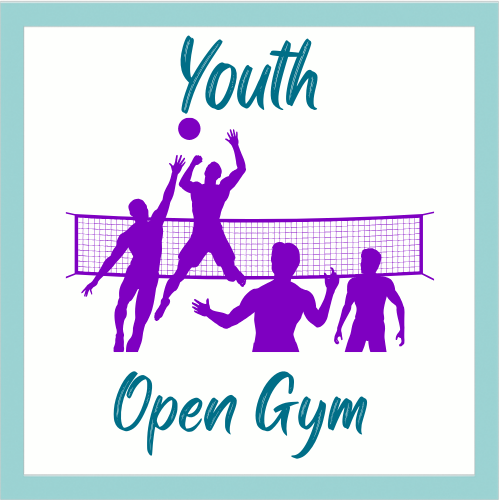 Youth Volleyball Open Courts